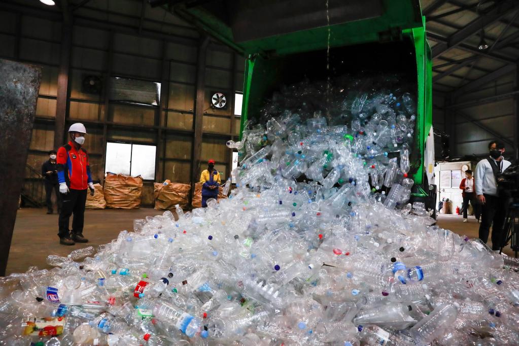 多国专家称赞“以竹代塑”倡议有助于全球治理塑料污染